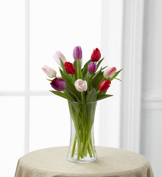 TheTender Tulips Bouquet from Scott's House of Flowers in Lawton, OK